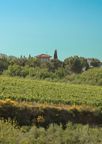 vista